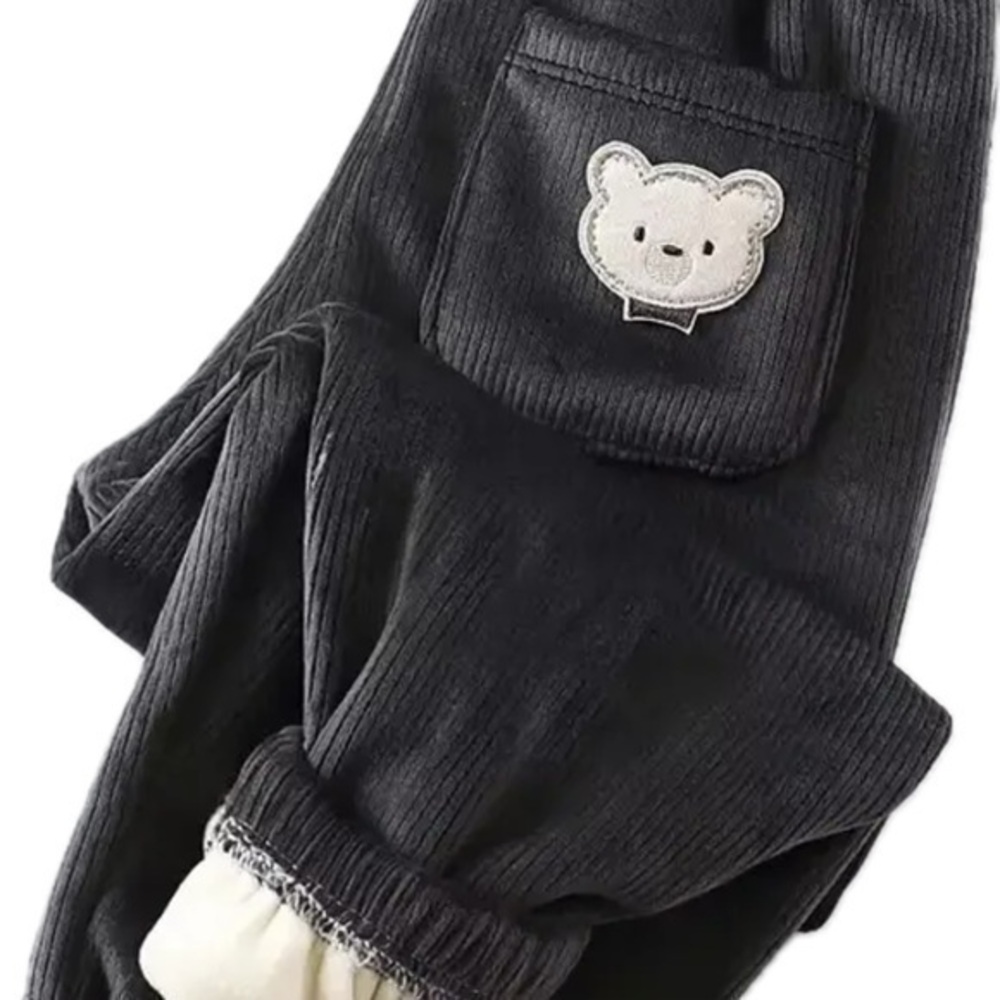 New thick, warm, lined, corduroy pants 2-3 T